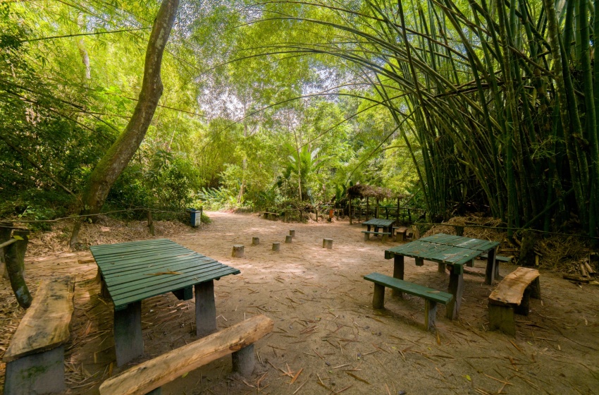 Prefeitura de Maceió promove trilhas ecológicas e capacitações durante a campanha "Somos Meio Ambiente"