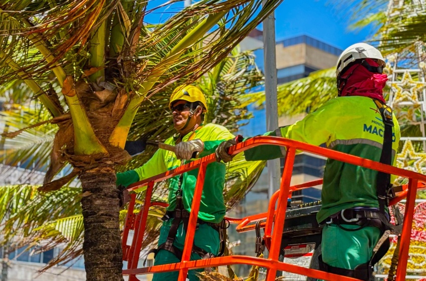 Alurb intensifica limpeza e poda de coqueiros na orla marítima