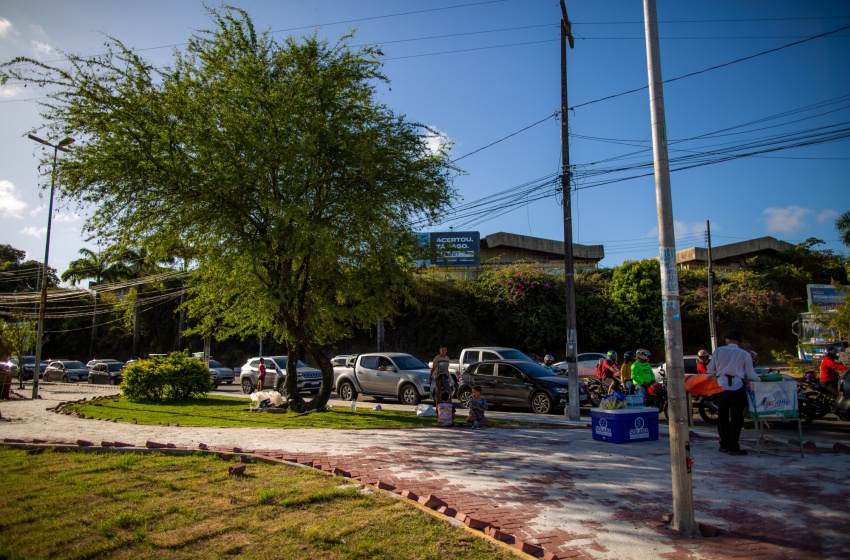 Canteiros do cruzamento da Rodoviária de Maceió ganham novo visual após revitalização