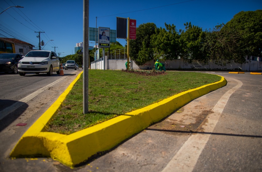 Desenvolvimento Sustentável inicia arborização em canteiros da capital