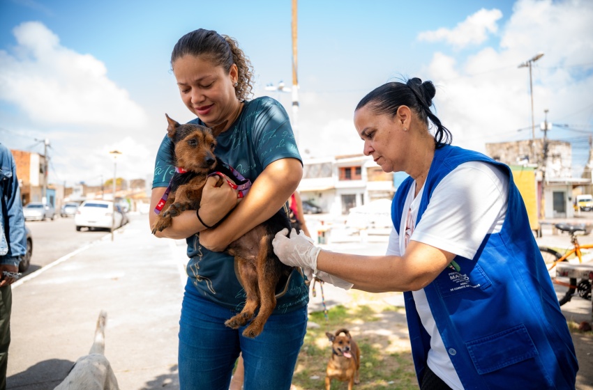 Saúde de Maceió imuniza mais de 30 mil animais no primeiro dia de vacinação antirrábica