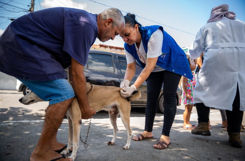 Prefeitura de Maceió vacina mais de 90 mil animais durante campanha antirrábica 2025