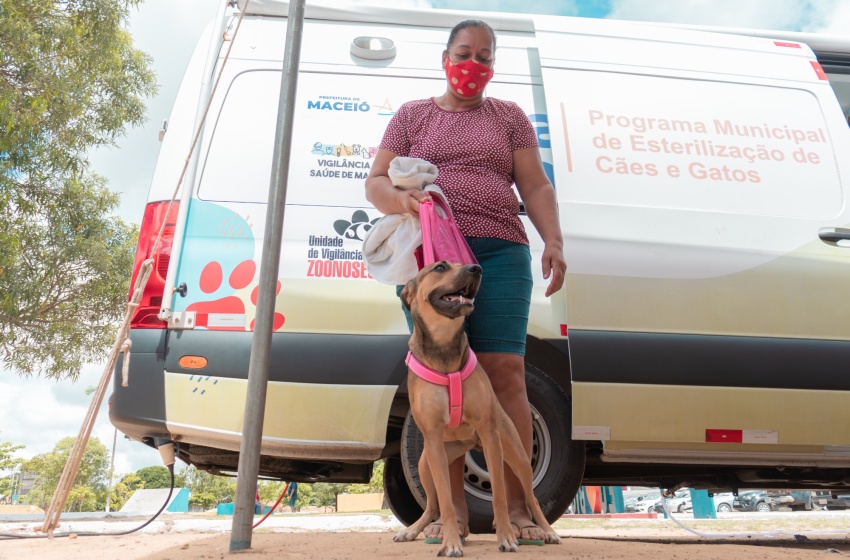 Gabinete da Causa Animal fará atendimento com Castramóvel na terça-feira (15), em Ipioca