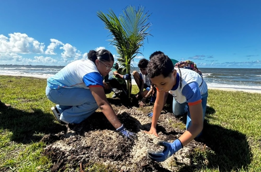 Projeto “Se tem Coqueiro tem Cuidado” é lançado no Pontal da Barra