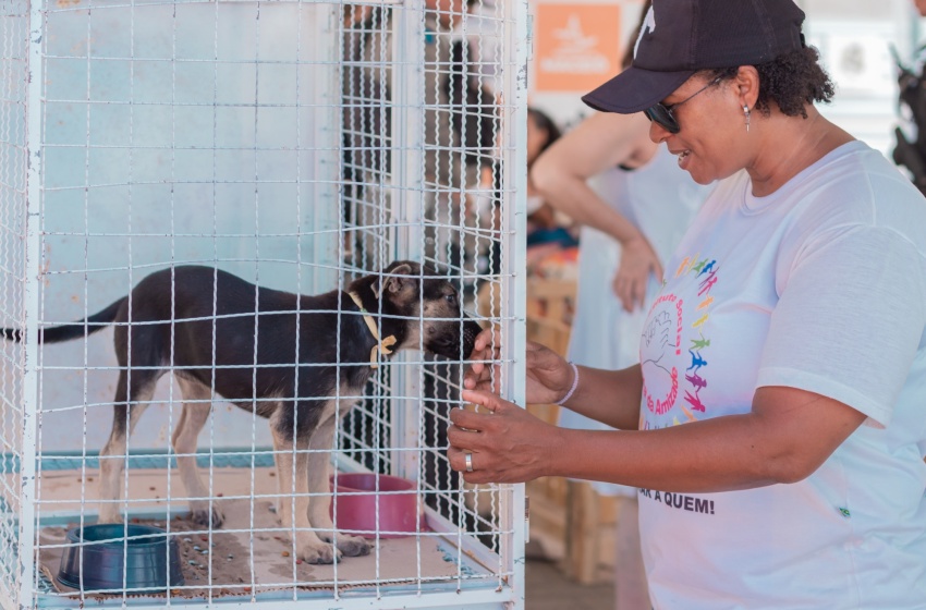Feira de Adoção garante lares para oito animais neste final de semana