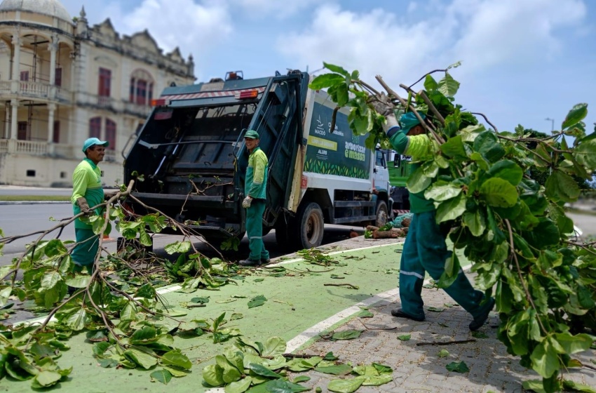 Alurb realiza vistorias e podas em árvores na Praia da Avenida