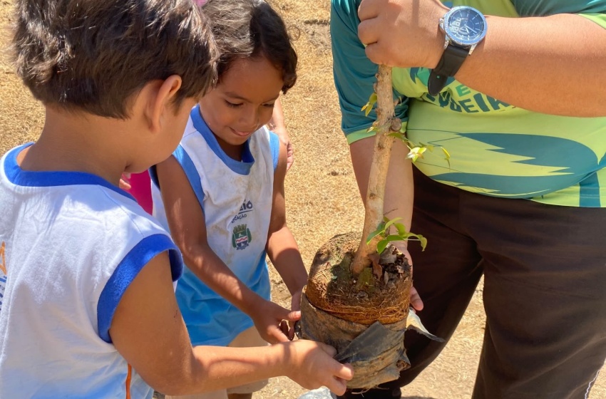 Projeto Arborizar é Massa realiza atividades sustentáveis e plantio de árvores com crianças do Flexal