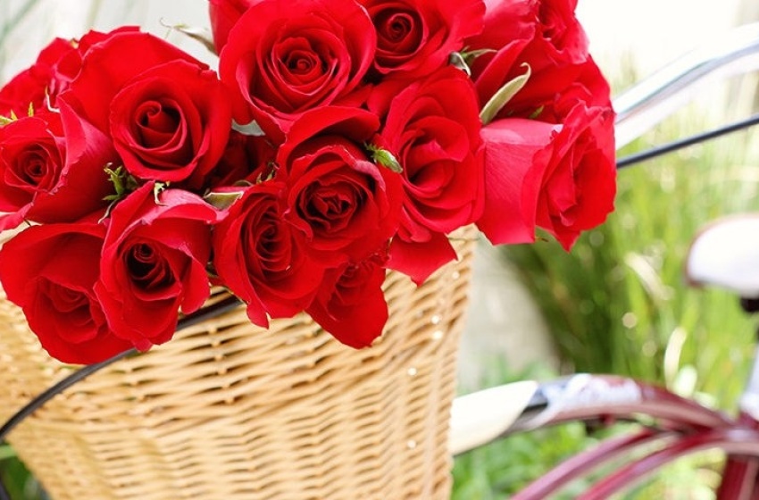 Prefeitura abre credenciamento para comércio de rosas no Dia das Mães