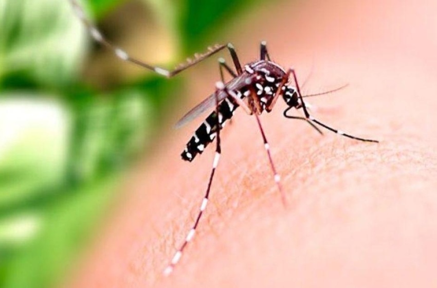 Saúde orienta população sobre cuidados com casas e empresas fechadas durante o Carnaval