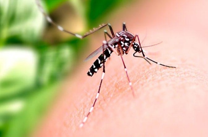 Saúde alerta população sobre medidas preventivas para combater o Aedes aegypti