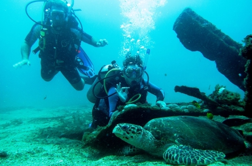 Booking.com: Maceió está na lista dos melhores destinos do Brasil para viagens sustentáveis