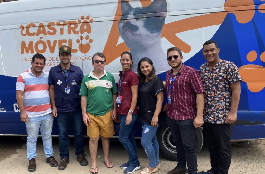 Dia do Médico Veterinário: Gabinete da Causa Animal alerta sobre importância dos profissionais
