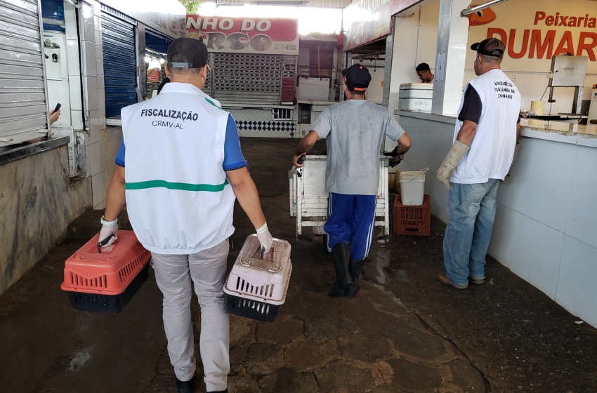 Mercado da Produção recebe ação de recolhimento de animais