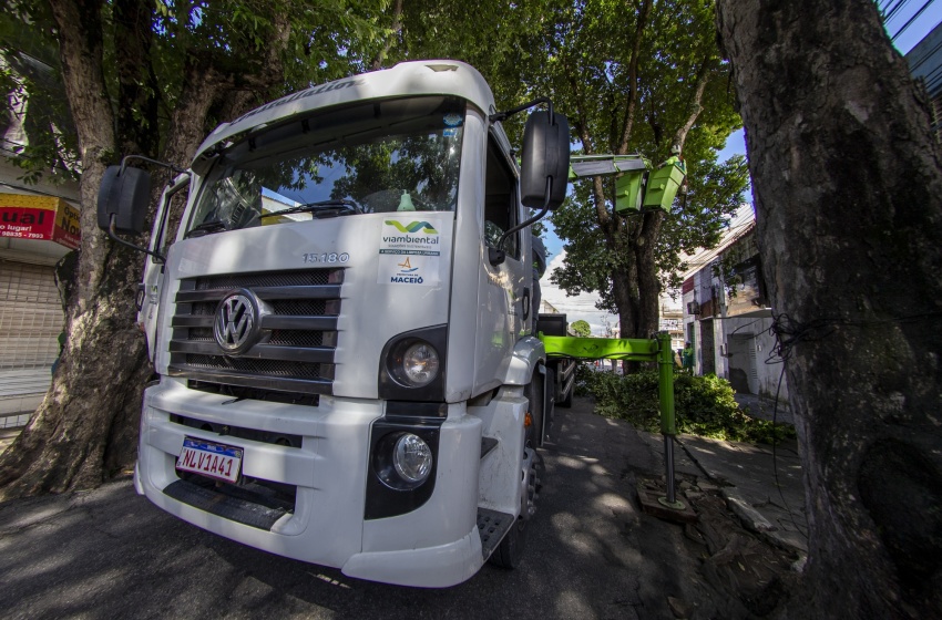 Rua das Árvores: serviço de arborização iniciado no último domingo (21) será concluído na próxima semana