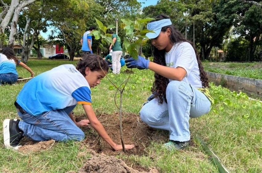 Dia da Árvore é celebrado em Maceió com plantio de 40 mudas nativas e frutíferas em Sauaçuhy