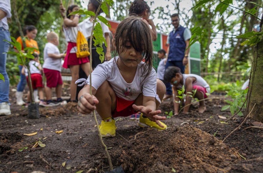 Dia da Árvore é comemorado com plantio de mudas no Parque Municipal