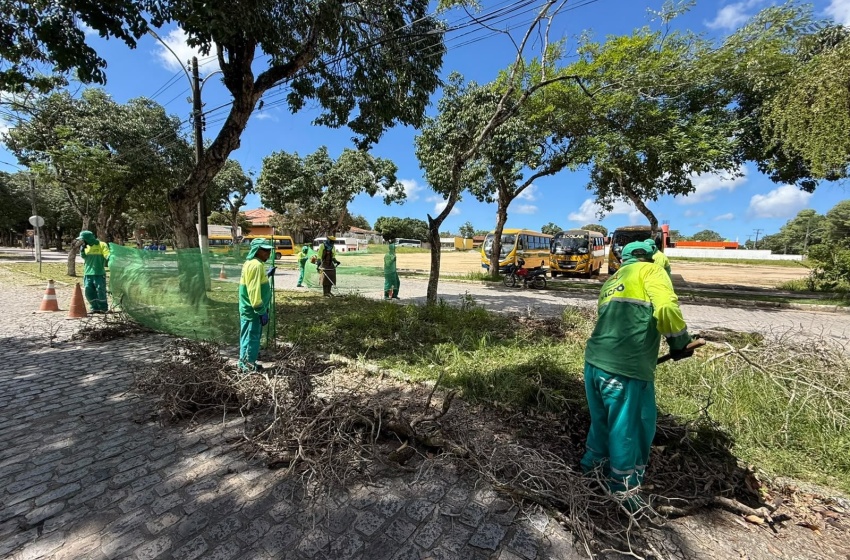 Autarquia Municipal de Limpeza Urbana realiza mutirão no Campus da  Ufal
