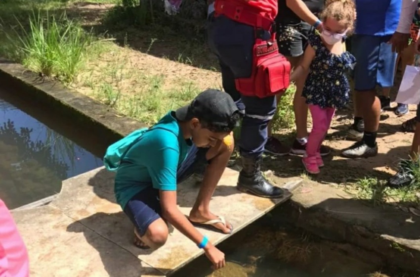Usuários do Serviço de Convivência do Cras Fernão Velho participam do Projeto um Dia no Parque