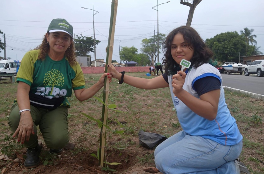 Canteiro do Dique Estrada recebe plantio de árvores de grande porte