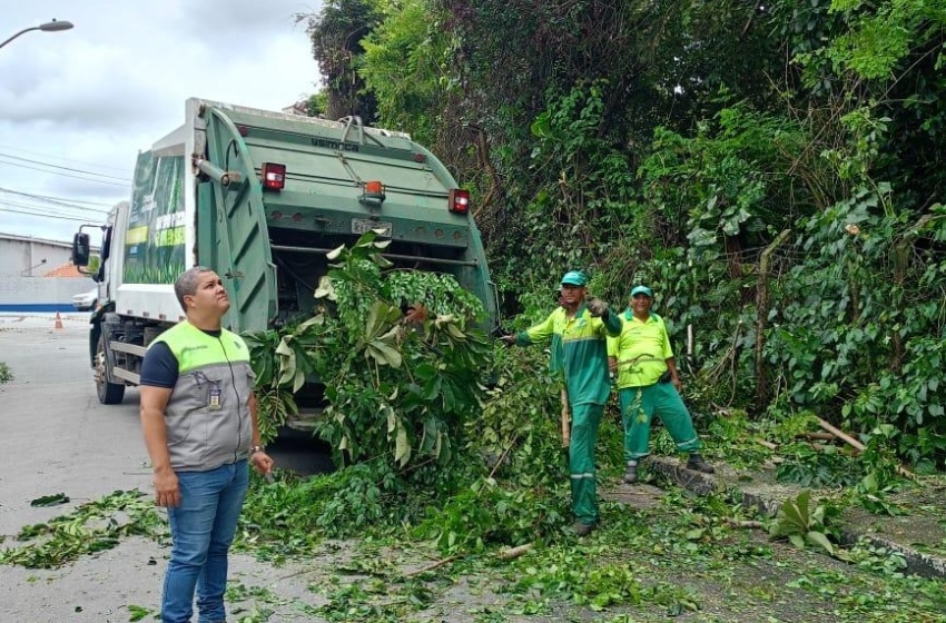 Alurb realiza intervenções em árvores no bairro da Gruta de Lourdes