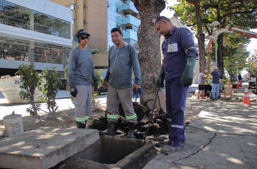 Prefeitura realiza serviços de prevenção contra alagamentos na Avenida Sandoval Arroxelas