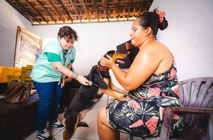 Prefeitura leva serviços veterinários a famílias em situação de vulnerabilidade