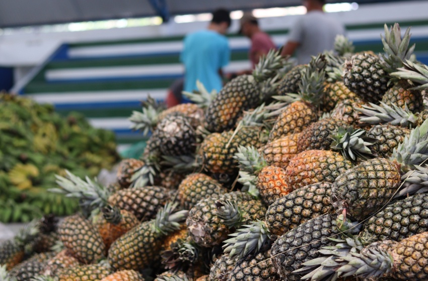 Prefeitura de Maceió convoca agricultores para participar de audiência pública na quinta-feira (3)