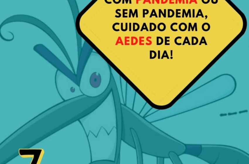 Comitê promove campanha de enfrentamento ao Aedes aegypti