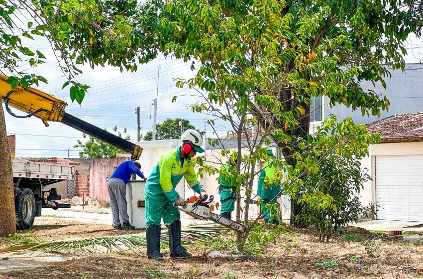 Alurb realiza mutirão de poda de árvore em residenciais da Cidade Universitária