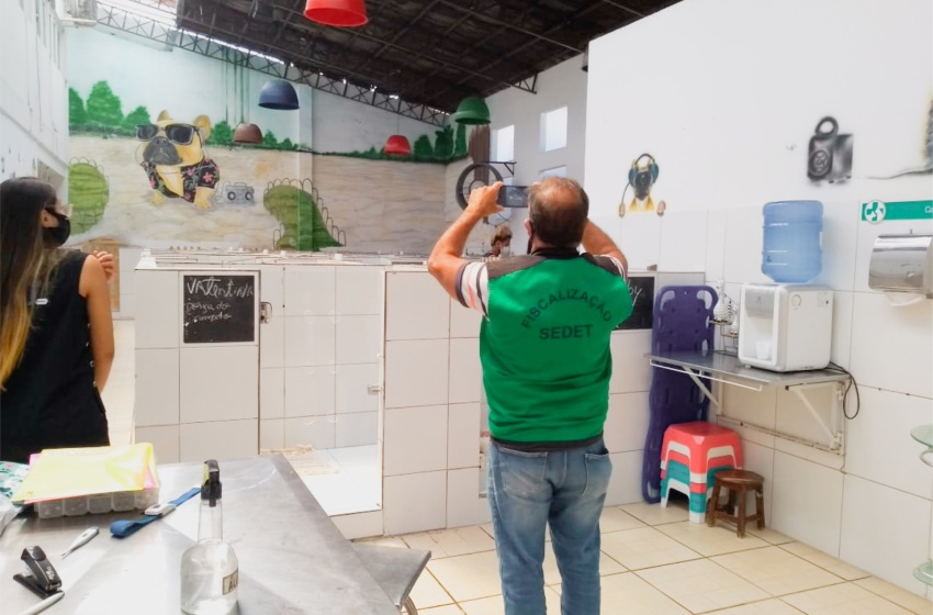 Prefeitura notifica hospital veterinário por maus-tratos contra animais