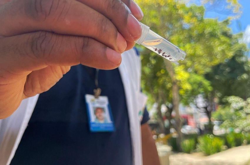 Vigilância de Zoonoses vistoria praça com focos de carrapatos na Gruta e define medidas de controle contra infestação