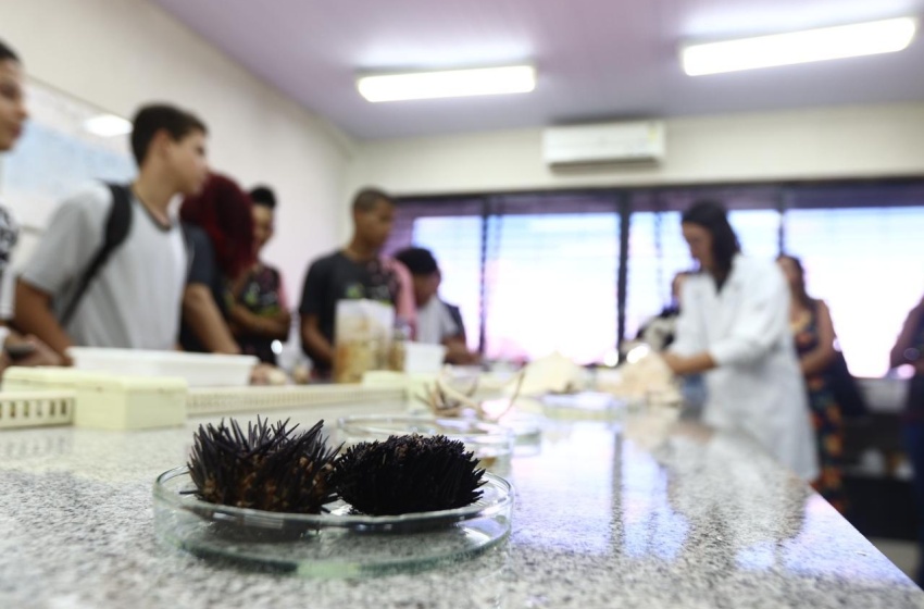 Alunos da Escola Municipal Antídio Vieira visitam exposição sobre oceano