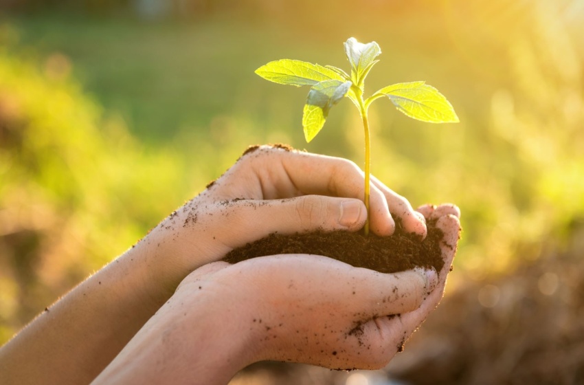 Dia Mundial do Meio Ambiente: Saúde promove ações sobre qualidade de vida e sustentabilidade
