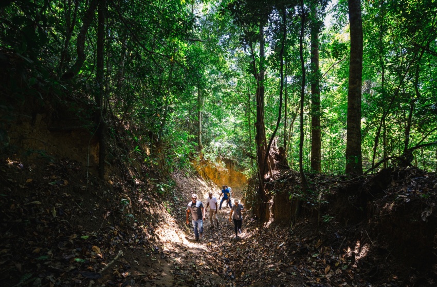 Trilha pela Mata Atlântica em Fernão Velho é reativada após ações de limpeza e iluminação