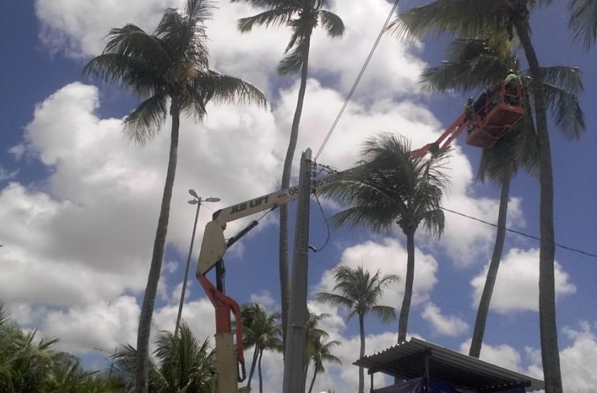 Prefeitura intensifica poda de árvores em toda a cidade