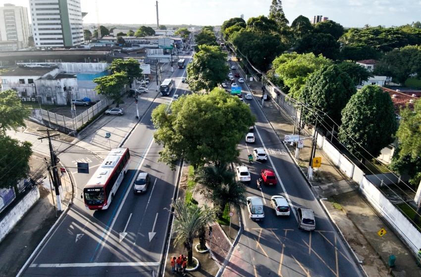 Defesa Civil de Maceió realiza projeção de copas de árvores na Fernandes Lima para podas preventivas
