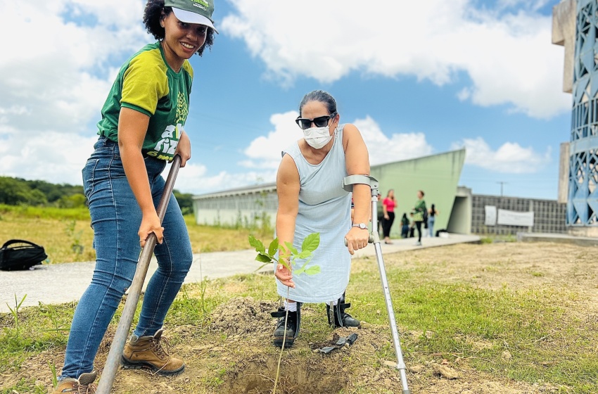 Alurb leva arborização à Ufal em parceria com o Instituto de Ciências Sociais