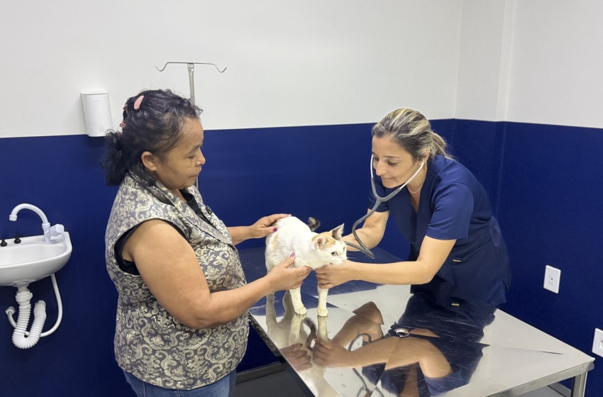 HC Pet muda histórias e leva mais saúde e dignidade aos pets de Maceió