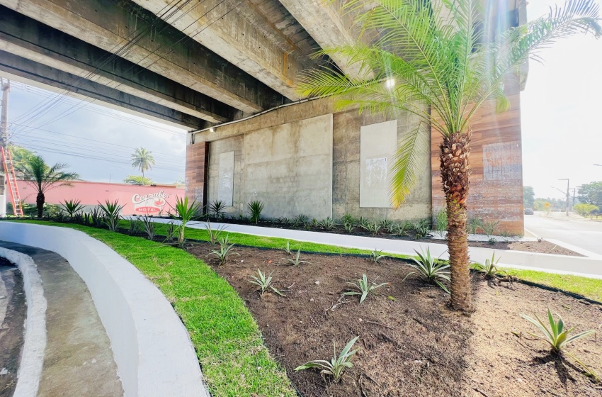 Alurb conclui obra de paisagismo no viaduto de Jacarecica