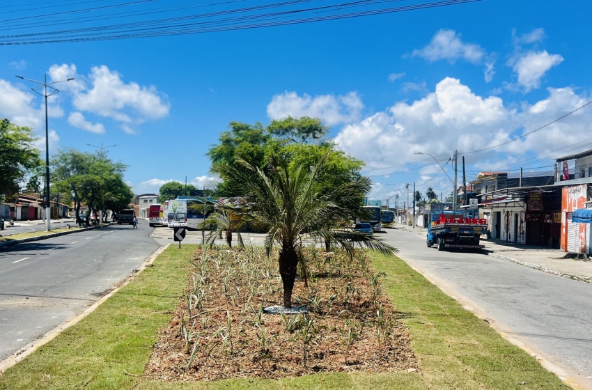 Alurb elimina ponto crônico de descarte de entulhos e revitaliza área com paisagismo