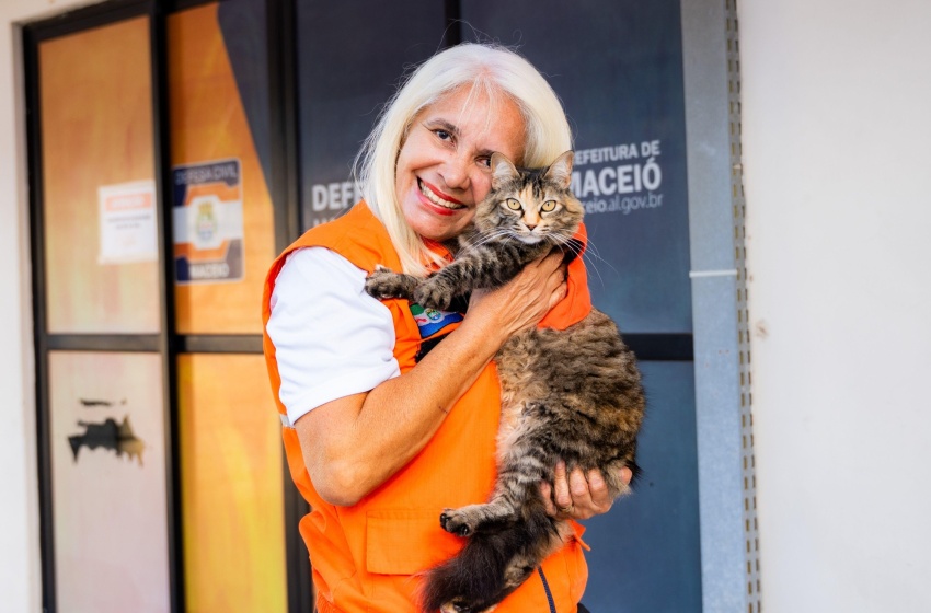 Na Defesa Civil de Maceió, três gatinhos encontram proteção, carinho e um lar