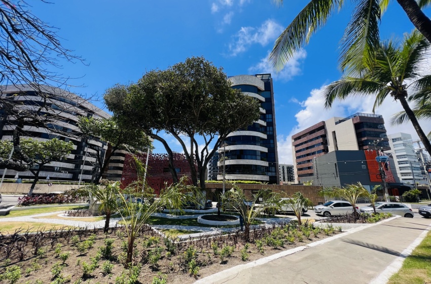 Desenvolvimento Sustentável conclui paisagismo na Praça Hélio Vasconcelos, na Ponta Verde