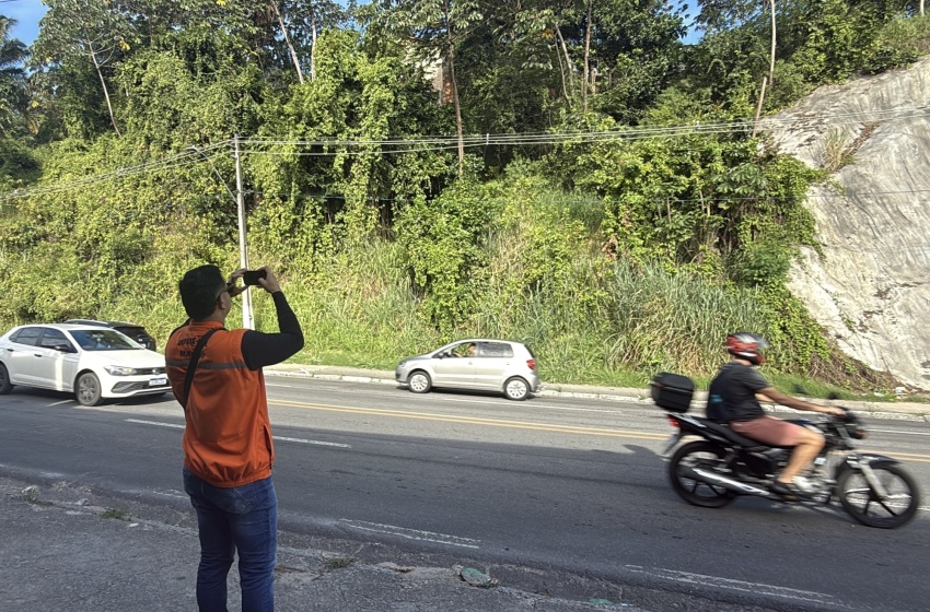 Defesa Civil de Maceió recomenda retirada de árvores em áreas de risco e próximas à rede elétrica
