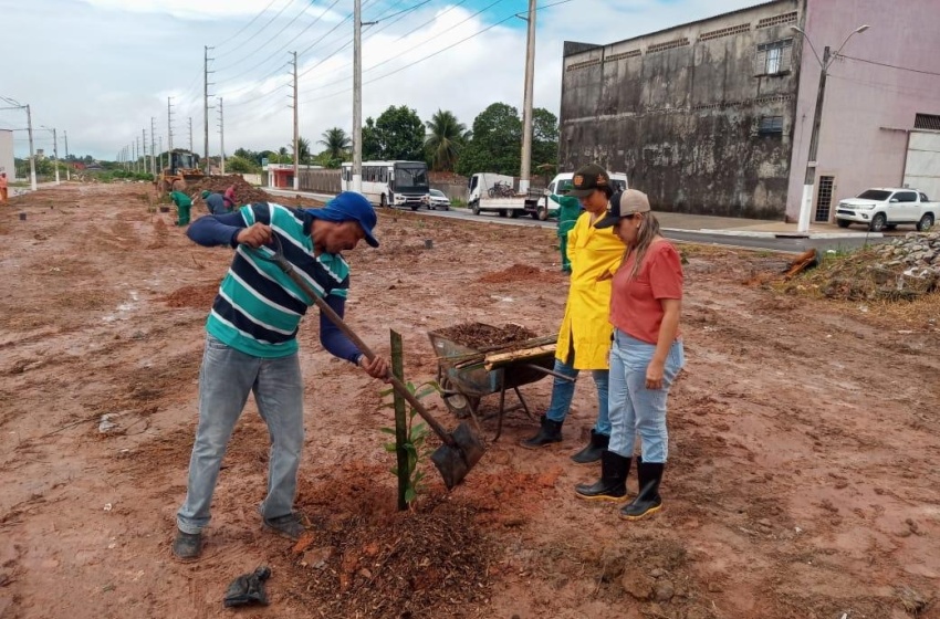 Desenvolvimento Sustentável inicia projeto Arborizar é Massa no Biu