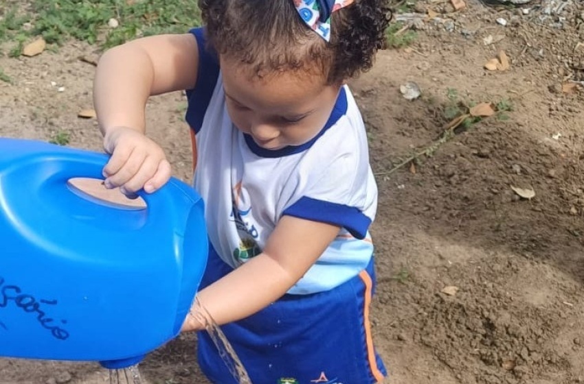 Centro de Educação Infantil usa método que conecta crianças à natureza