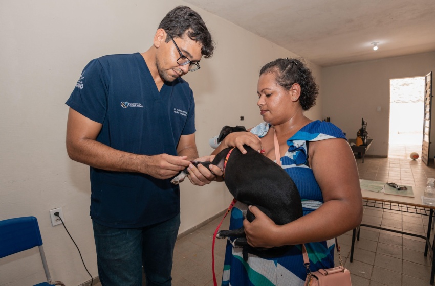 Conheça os serviços oferecidos pelo Gabinete da Causa Animal