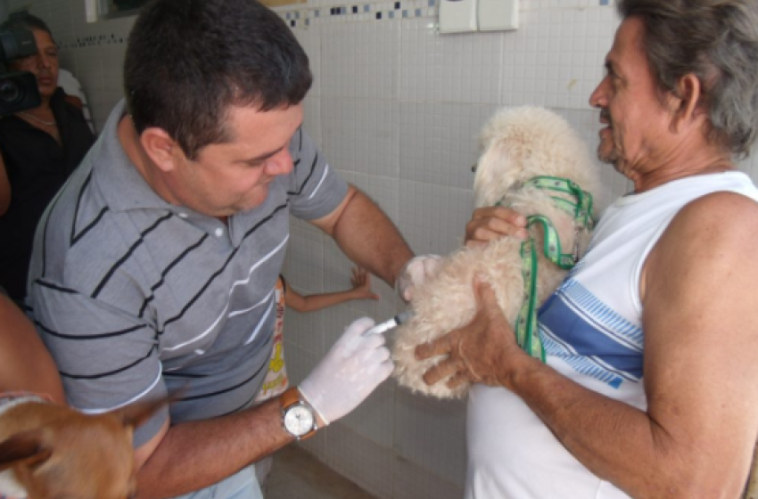 1ª etapa da vacinação antirrábica acontece neste sábado; veja locais