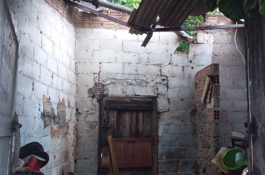 Chuva: Defesa Civil de Maceió condena imóvel atingido por queda de árvore