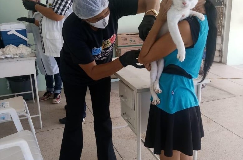 Segunda etapa da vacinação contra raiva imuniza cães e gatos no próximo sábado
