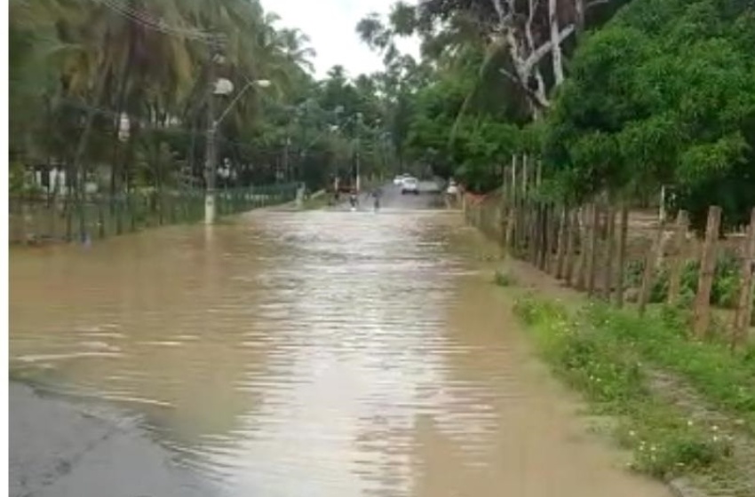 Av. Pierre Chalita passa por nova limpeza nos próximos dias